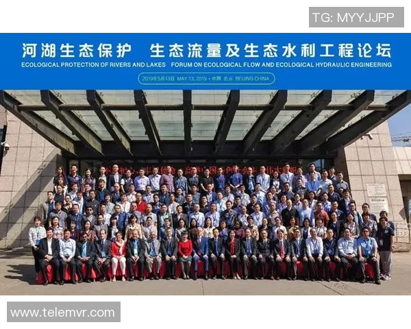 北京羽毛球队运营分析:成功经验与面临挑战的深度探讨